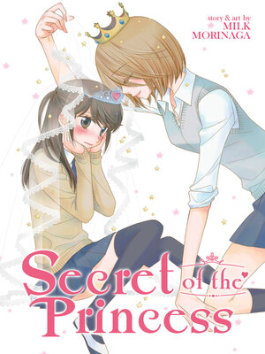 cover image of Secret of the Princess